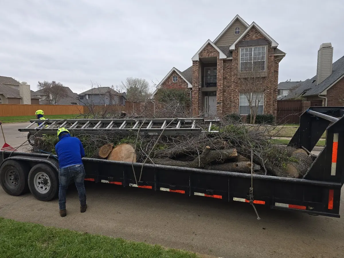 Expert Lot Clearing with proper safety equipment in Powhatan